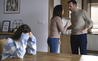 L’abús de dret com a causa d’oposició a l’execució en procediments de família