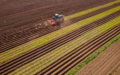 Derecho Rural: Qué es y cómo puede ayudarte un Abogado especializado