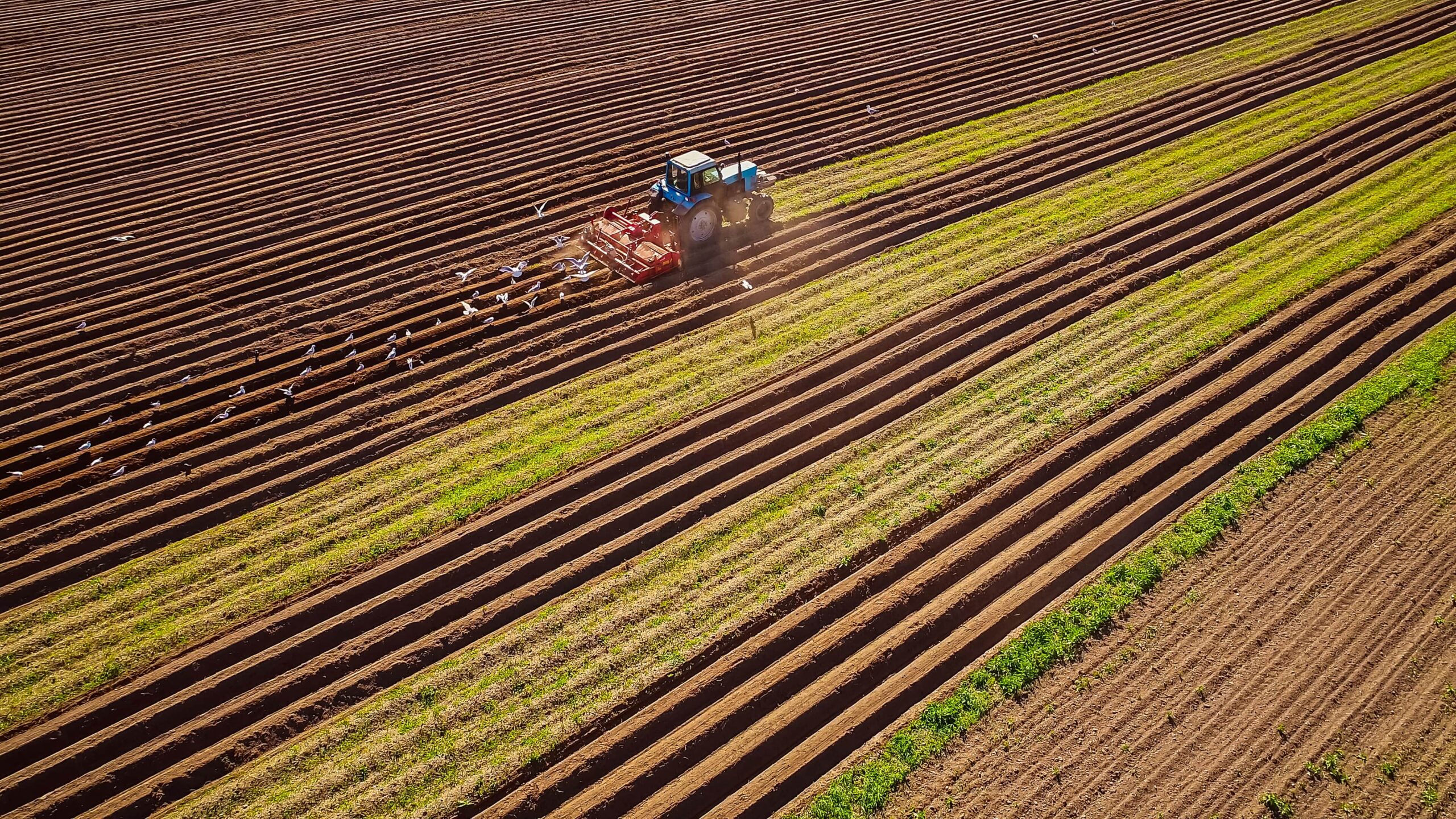 agricultural-work-on-a-tractor-farmer-sows-grain-2025-03-28-10-58-15-utc-min