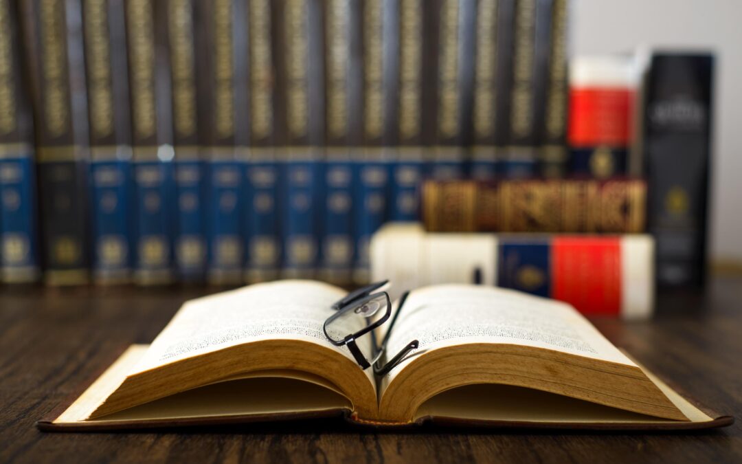 Notes i comentaris sobre l’avantprojecte de llei de l’ocupació pública catalana 