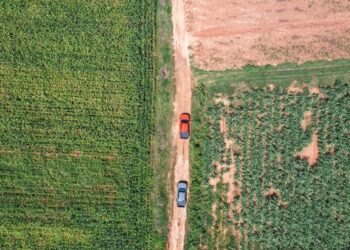 absolució delicte lleu danys presumpció innocència sentència
