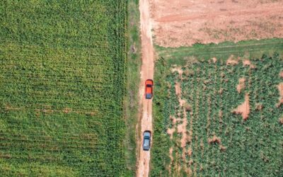 Expertise: absolució en un cas de delicte lleu de danys