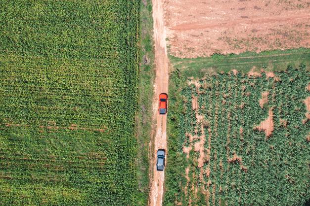 Expertise: absolució en un cas de delicte lleu de danys