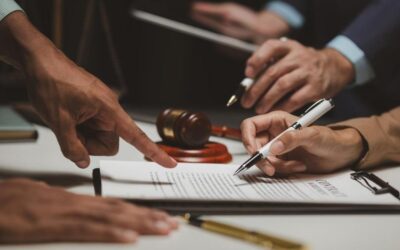 El dret a la bona administració en matèria de transparència.Comentari a la Sentència nº 940/2024, de 29 de maig, de la Sala Tercera del Tribunal Suprem